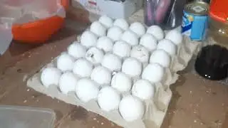 Холодильник жалко...