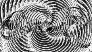 Skull Spiral: Overlay