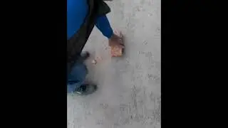 Кирпич Валява м125 марки