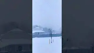 snow in Siberia ❄️ Снег в Сибирь