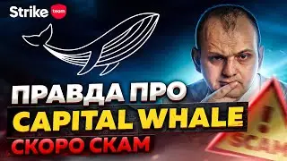 Разоблачение Capital Whale: успейте вывести деньги
