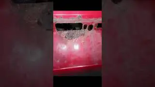 WHAT WOULD YOU DO? RUST
