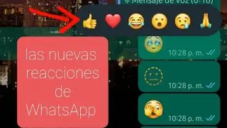 LAS NUEVAS REACIONES EN WHATSAPP ¿como se activa? mira video