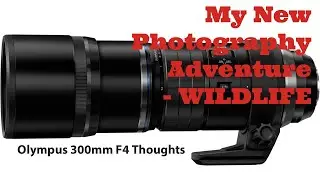 My New Photography Adventure - Olympus Wildlife Lens Thoughts - Ian Smith Fotografi