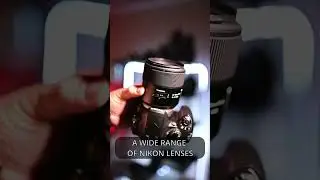 5 Reasons Why The Nikon D40 is an EXCELLENT camera for beginners