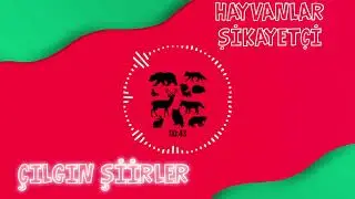 Hayvanlar Şikayetçi Şiiri (Çılgın Şiirler Serisi) - Rafet SERTOĞLU | Çocuk Şiirleri