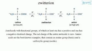 zwitterion