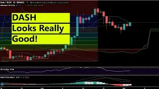 Dash coin Price prediction and targets for March 2021 - DASH / USD, DASH / BTC, DASH / ETH analysis