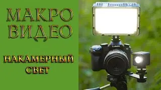 Макро видео. Накамерный свет