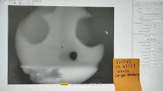 851516 NT377 20241126
