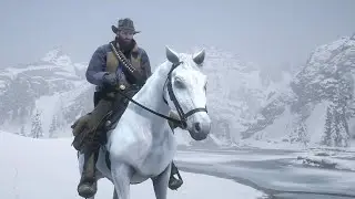 Red Dead Redemption 2 - Прохождение #2
