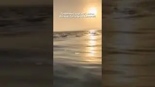 Fenomena Unik Yang Terjadi Di Lautan