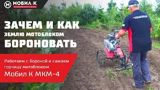 Мотоблок с бороной! Зачем и как правильно бороновать?! Зачем сеять горчицу?! Мотоблок МОБИЛ К!