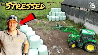 THIS HAS TAKEN TOO LONG! | Cattle Muck Out And Wholecrop Silage Bales In!