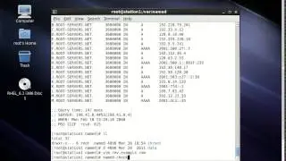 Redhat Version 6 Primary DNS Server Configuration ( Part I )