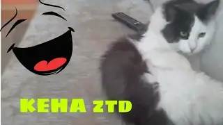 Жизнь KESHI ztd