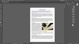 Adobe Indesing - Page Range (Sayfa Aralığı) Özelliği