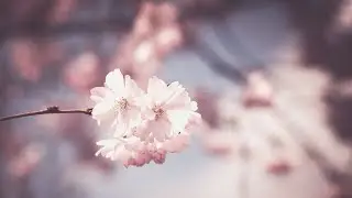 Meme: на сколько я тебе дорог? Для ЛП💖💝❤️