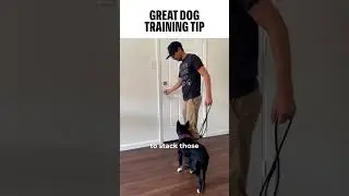 A great example of conditioning and control. 