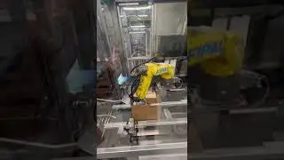FIPAL - Case Packer (Italy)