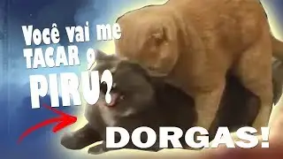 Edição Dorgas - Você Vai Me Tacar o Pirú?