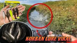 K1LL3R‼️ UMP4N DI JAMIN AMPUH BUAT CAST1NG | CASTING Ikan Gabus