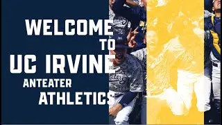 University of California Irvine Anteaters 