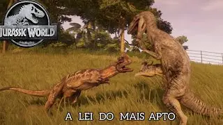 O MAIS APTO SOBREVIVERÁ JWE #5