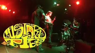 Live Music - Custard Pie - Teeny Butt Reprise