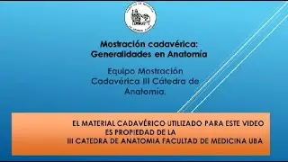 Generalities of cadaveric display