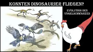 Vom Dino zum Vogel Teil 7: Evolution des Vogelflugs