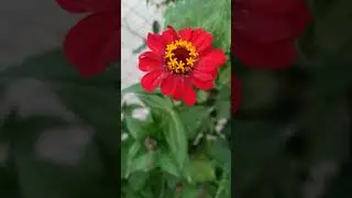 21 июля 2024 г.