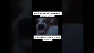 9 мая 2023 г.