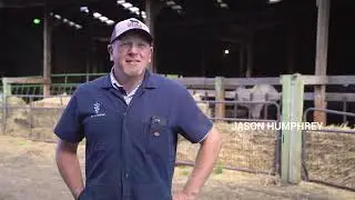 Efficiency at Livestock Markets | Chehalis Livestock Market