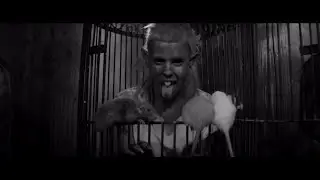 DIE ANTWOORD - TOMMY CANT SLEEP
