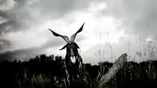 Prix Voies Off / Sélection 2015 :: Francoise Galeron