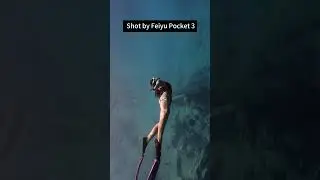 Diving with Waterproof Case of Feiyu Pocket 3