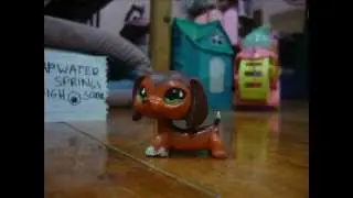 Littlest Pet Shop: Crush Sneak Peek/Opening (CANCELLED)