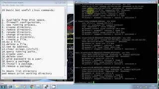 Top Linux commands for interview you must know about.