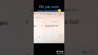 Проиколы!