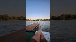Полосатый рейс 😼