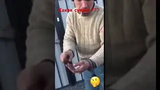Сколько стоит ремонт #automobile #авто #юмор #прикол #автомобили #топ #авария #машина