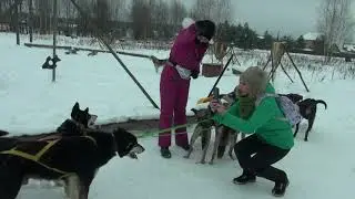 Хаски парк Раменское