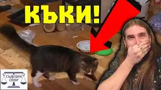 История за КОТКАТА КЪКИ!
