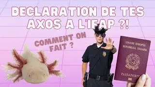 Axo News #12 DECLARATION DE TES AXOLOTLS ? OBLIGATOIRE ?! Comment on fait ?