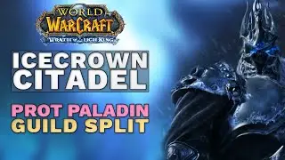So What's It Like To Tank In A Top Guild? Prot Paladin POV | ICC Week 12