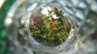 Fotografie = kinderspel! opdracht 9: voor de lens ermee!