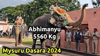 ಮೈಸೂರು ದಸರ 2024 ಆನೆಗಳ ತೂಕ ಎಷ್ಟು ನೋಡೋಣ Mysuru Dasara Elephant Weight Check 2024 Dhananjaya Highest