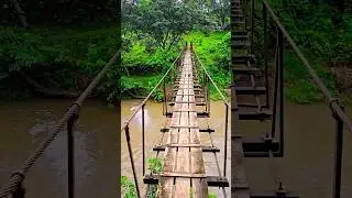 Chaliyakkara Iron Bridge in Punalur #nature#forest #chaliyakkara #punalur
