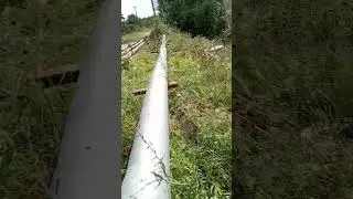 15 августа 2024 г.